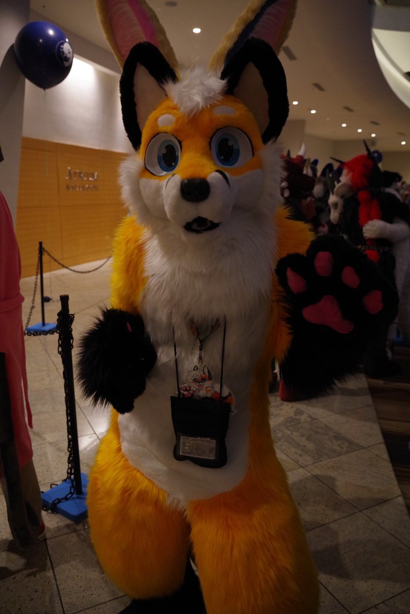 Xander Fox tweet media
