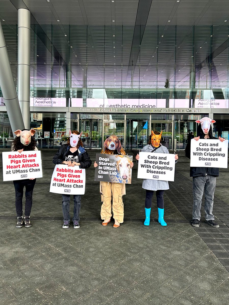PETA tweet media