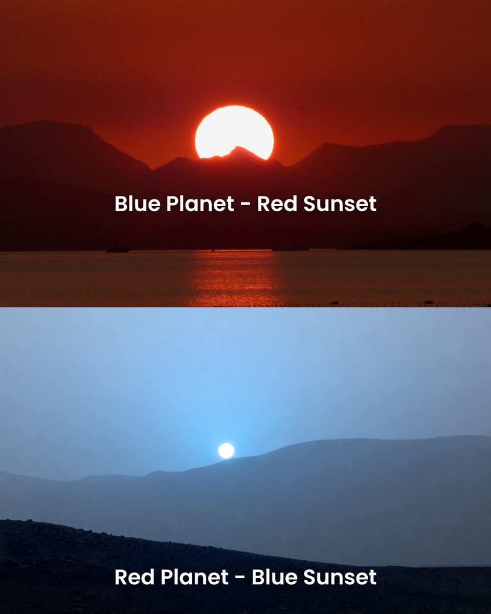 Dailyscienceinfo tweet media