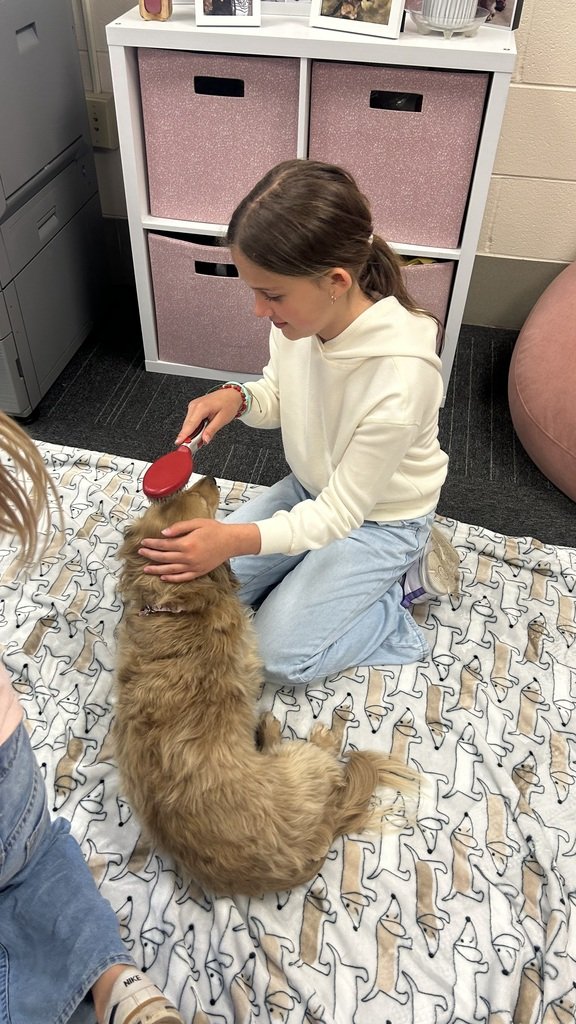OPSD125's tweet photo. Super fun Marnie visits with lots of kisses, cuddles, walks and playtime! https://t.co/bqAztCD8X0