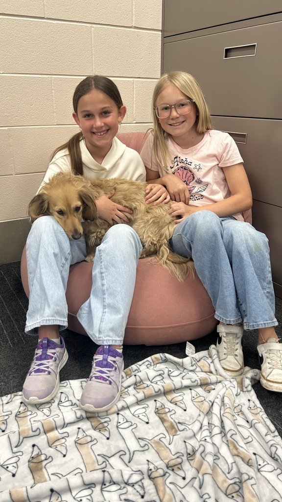 OPSD125's tweet photo. Super fun Marnie visits with lots of kisses, cuddles, walks and playtime! https://t.co/bqAztCD8X0