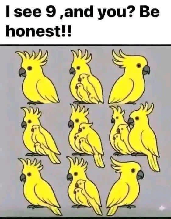 Monica tweet media