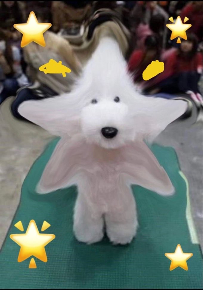 DrFox🆖 tweet media