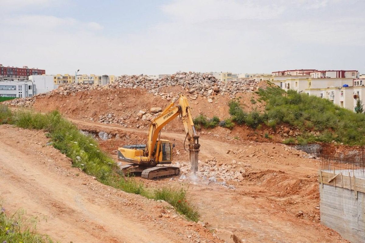 Algeria Project tweet media
