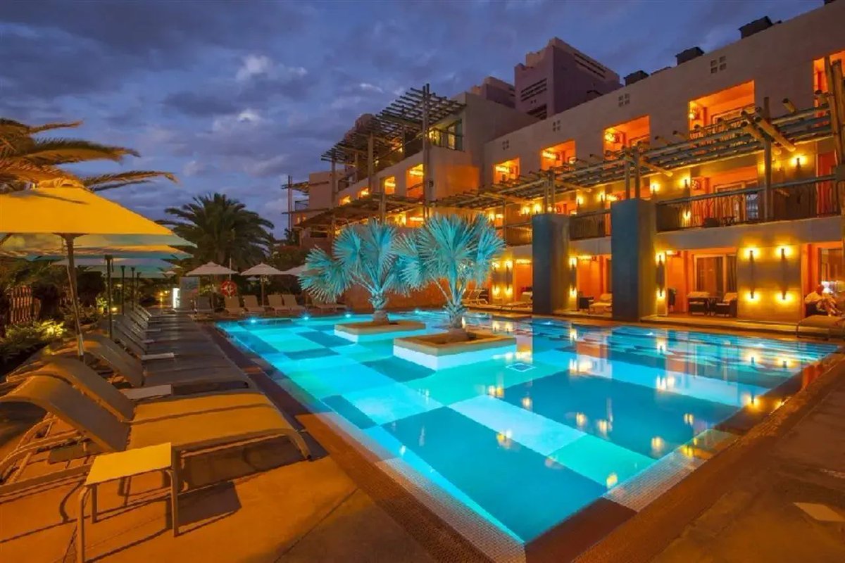 DutchFlyGuys tweet media