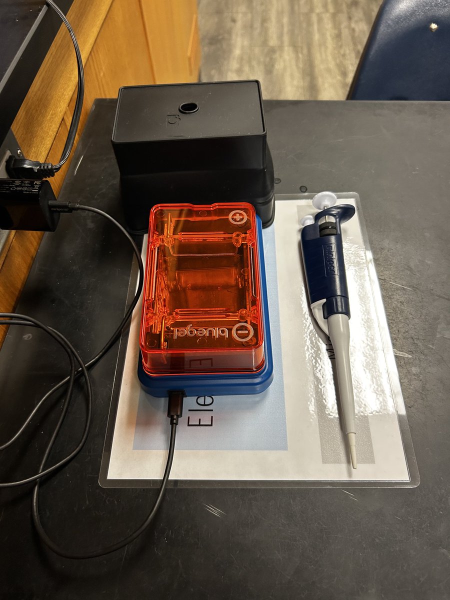 lmackay's tweet photo. I missed teacher appreciation week but wanted to acknowledge the amazing Kara McGarvey and her work as a science coach @SCIS_CCISD.  She made agar gels for the ENTIRE 8th grade, at least 6-8 hours of work and helped design our new capstone experience. She is one of a kind! https://t.co/1HlxMbbqqR