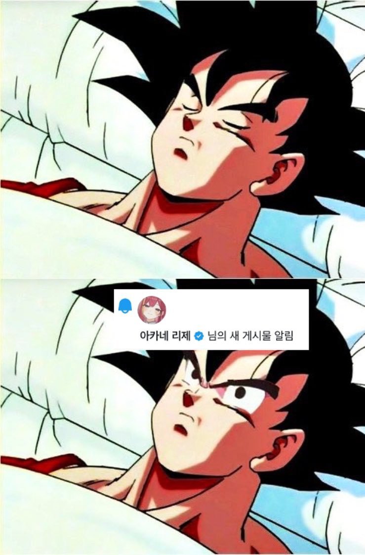 초꼭🍷🩸 tweet media