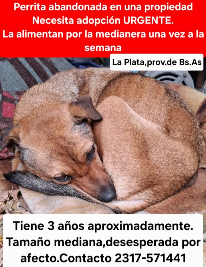 Patri tweet media