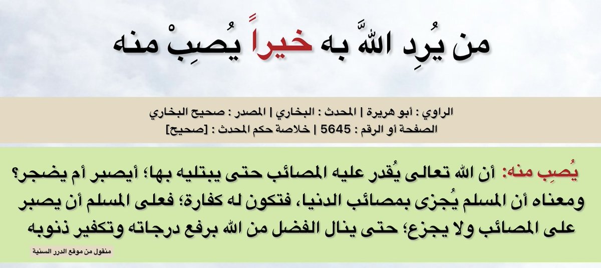 كنوز عظيمة tweet media