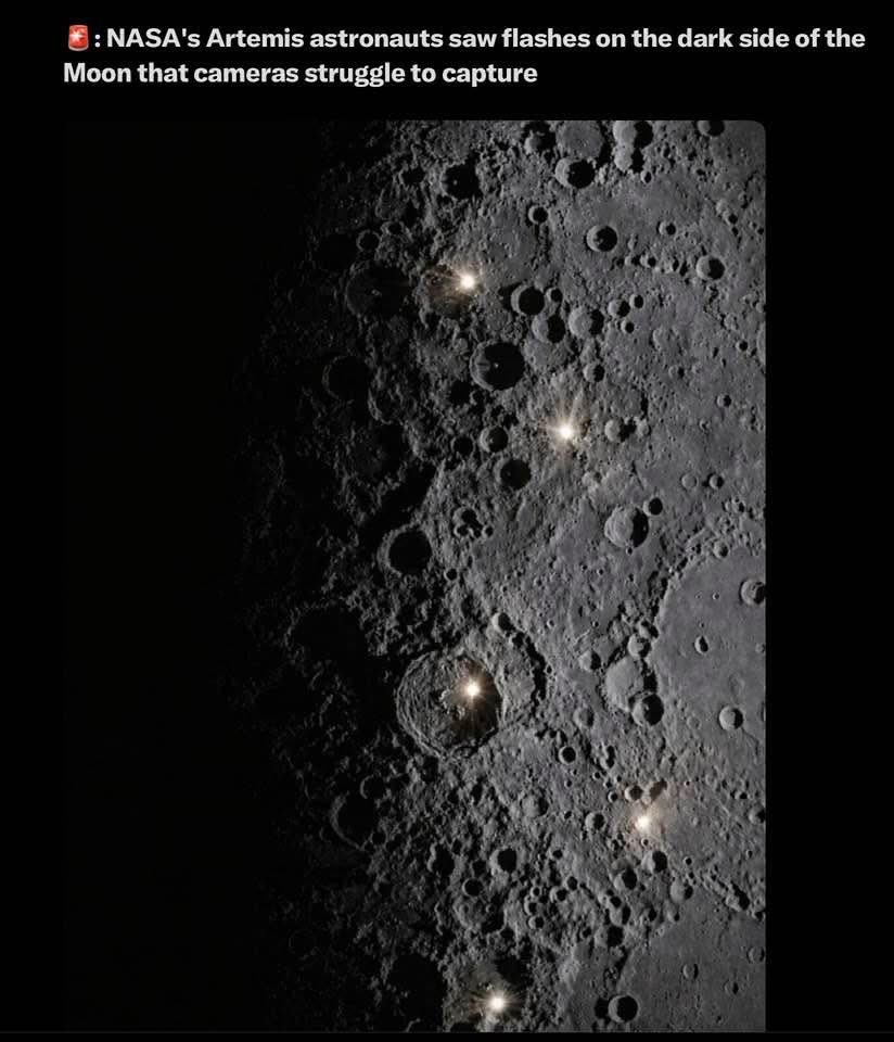 DIKOLEMAH tweet media