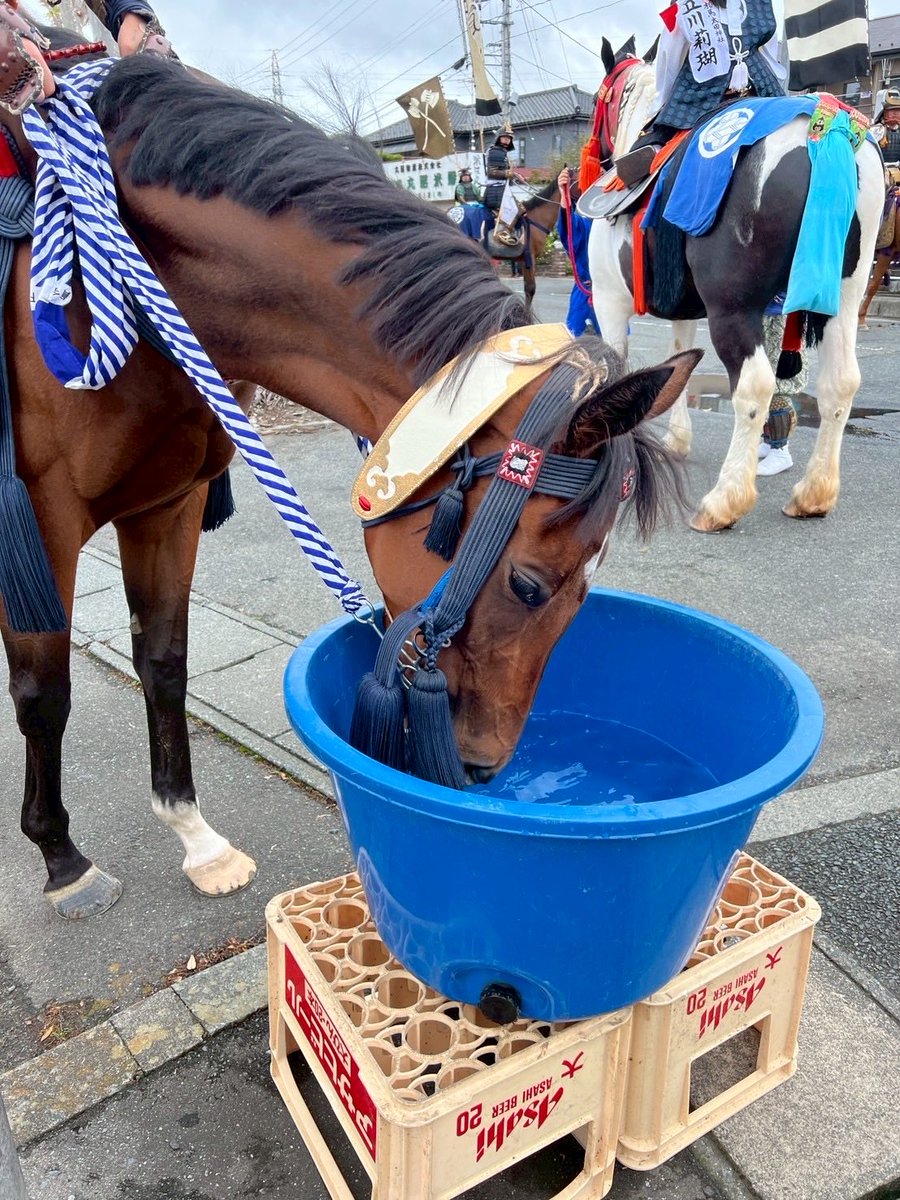 相馬野馬追執行委員会【公式】🐴 tweet media