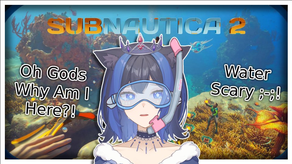 RoyalCatto🐱✨ tweet media