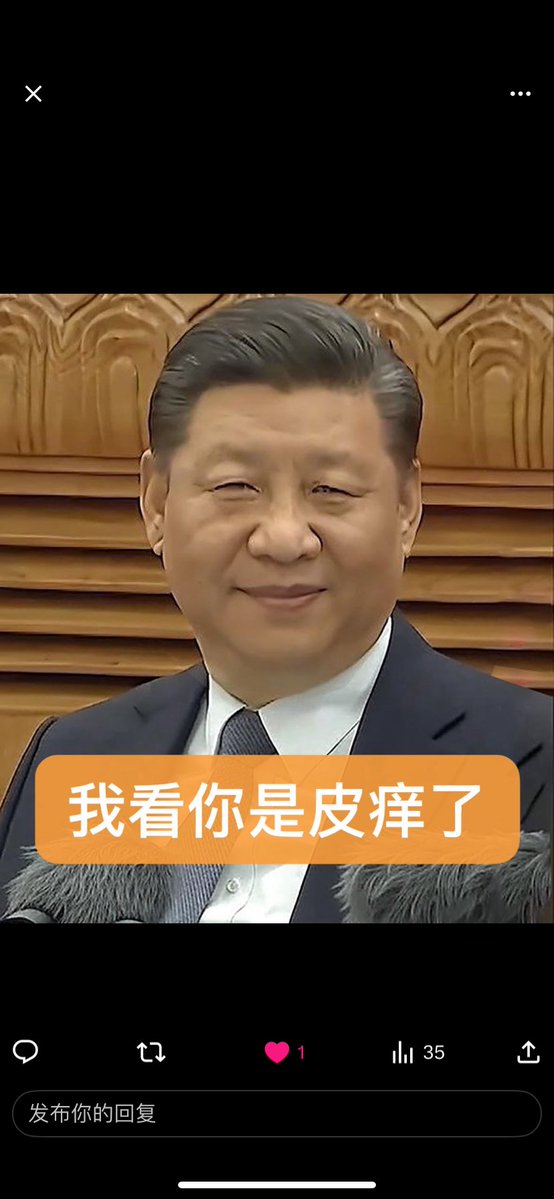 爱吃猫的鱼 tweet media