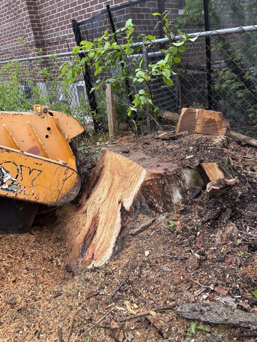Lightning Stumps (Drew) tweet media