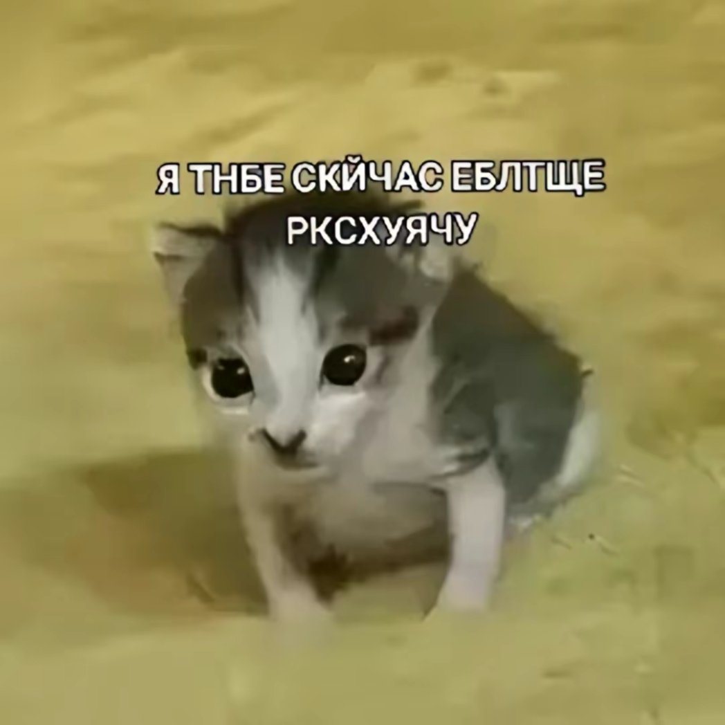 ✧༺ higanbana ༻✧ | Пешка Барбары 🐾 tweet media
