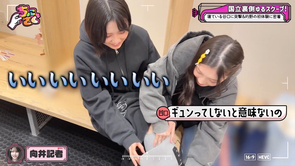 アルディーニ tweet media