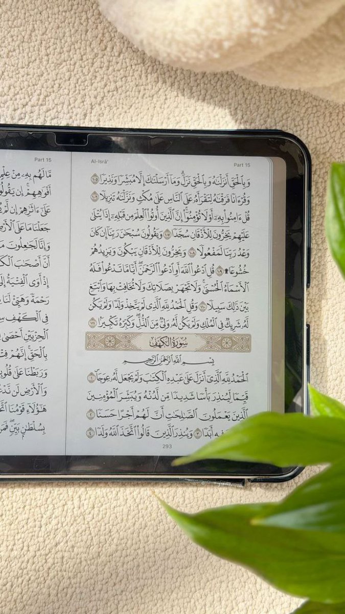 مُـتّسًـعَ||فَتُآة❥ tweet media