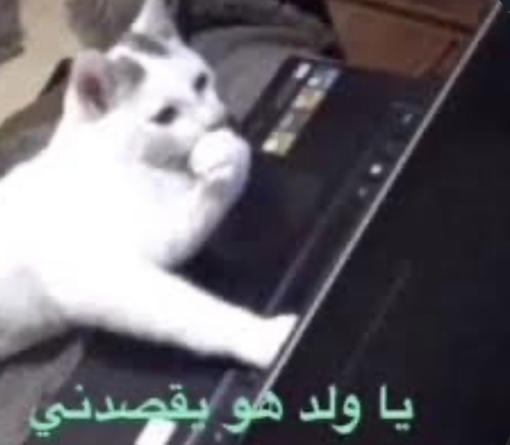 رينـاد tweet media