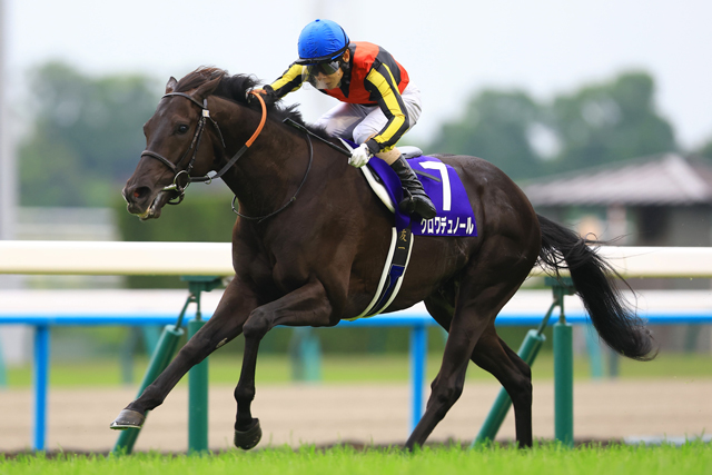 RT @JRAVAN_info: 🐴宝塚記念ファン投票第1回中間発表‼️ 1⃣クロワ