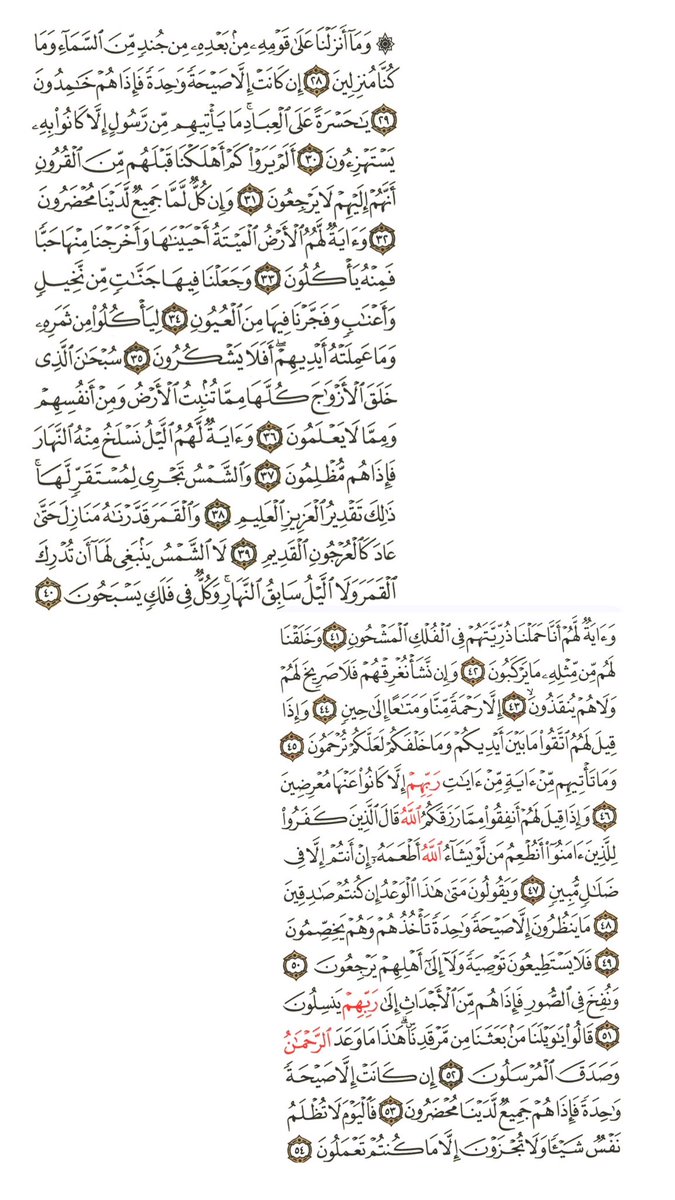 رِتـال ✦ tweet media