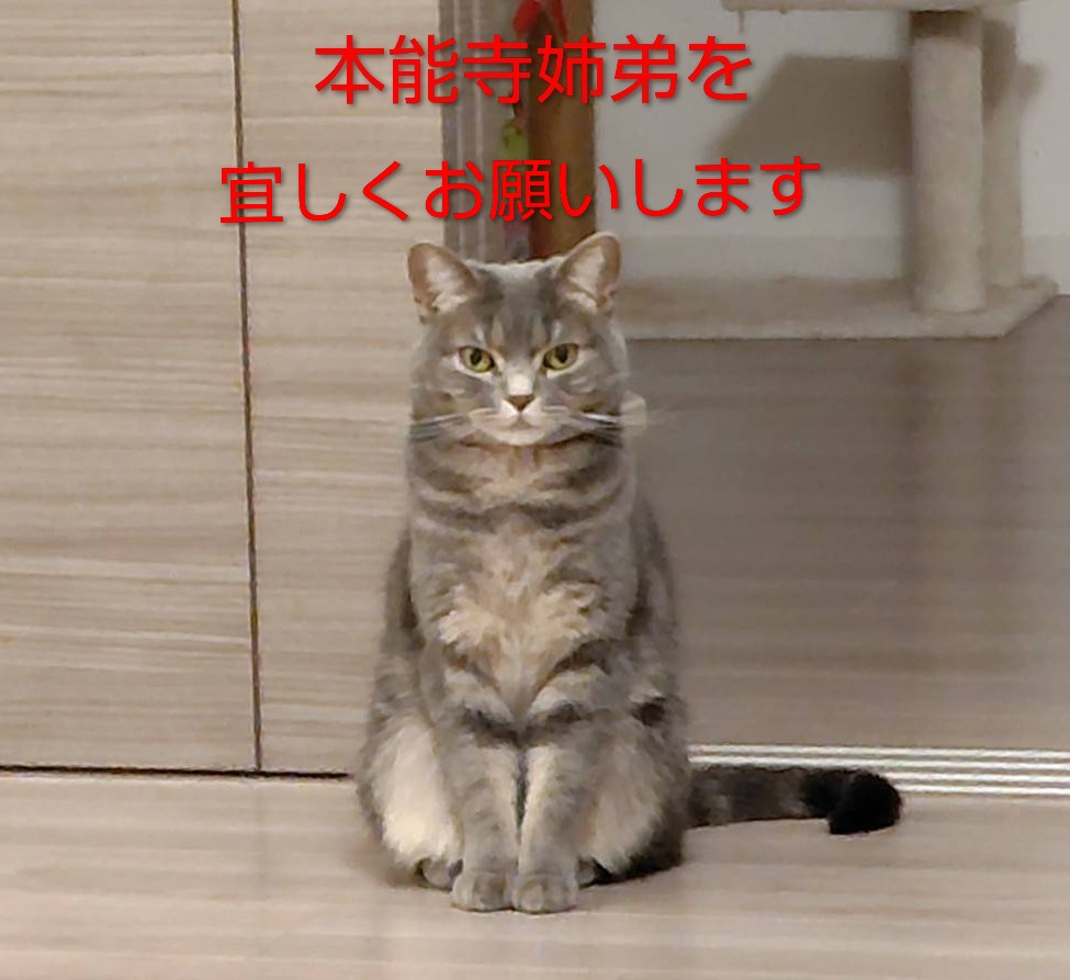 さわ～ん tweet media