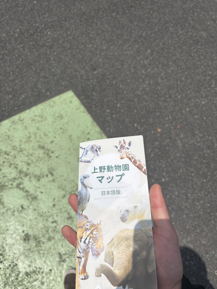 恵亞@声音の宴(徘徊) tweet media
