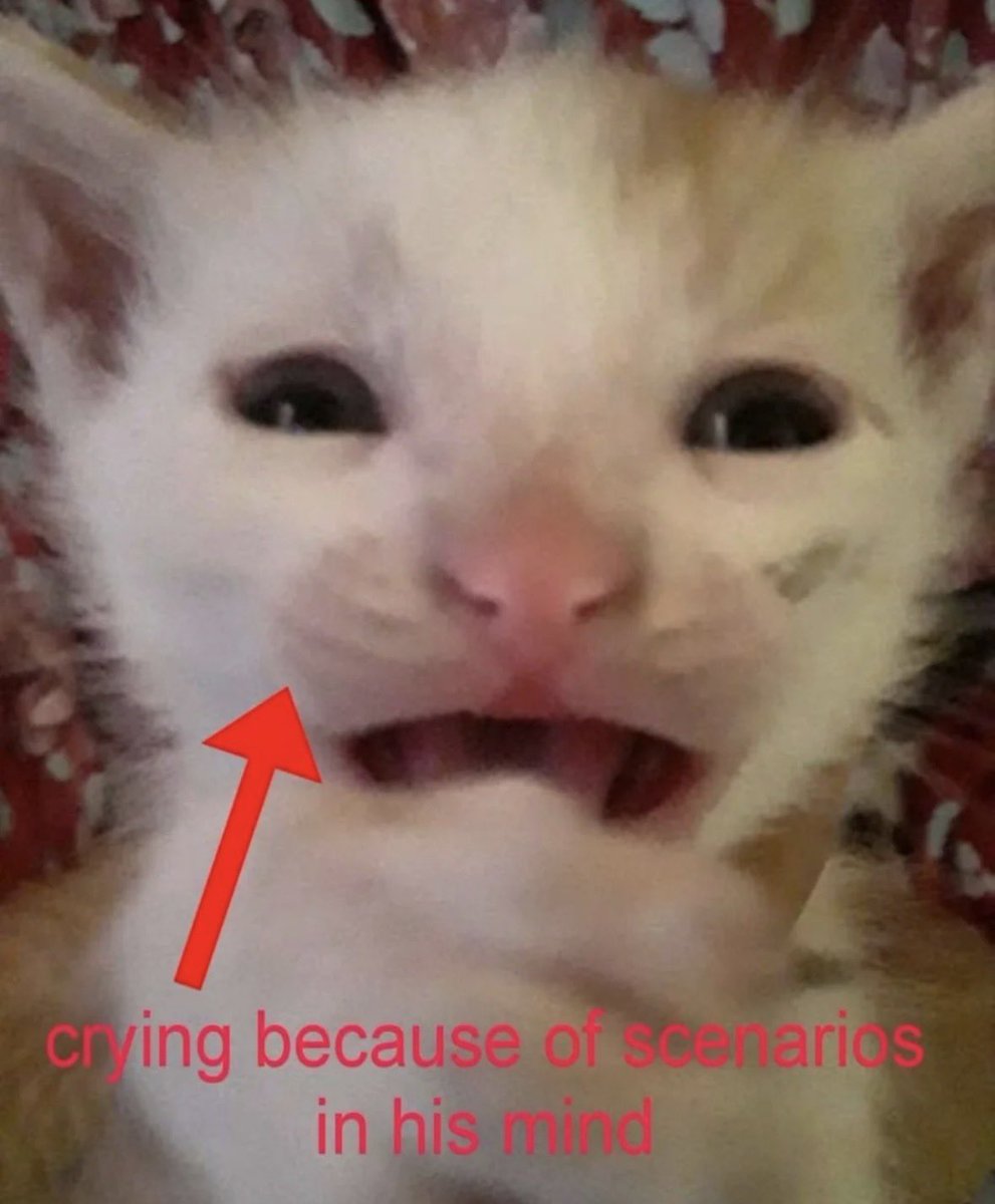 LiterallyMeCats tweet media