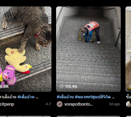 swap tweet media