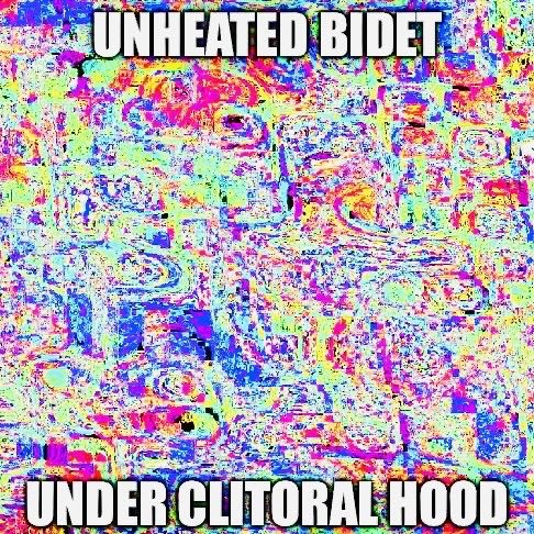 low elo truther tweet media