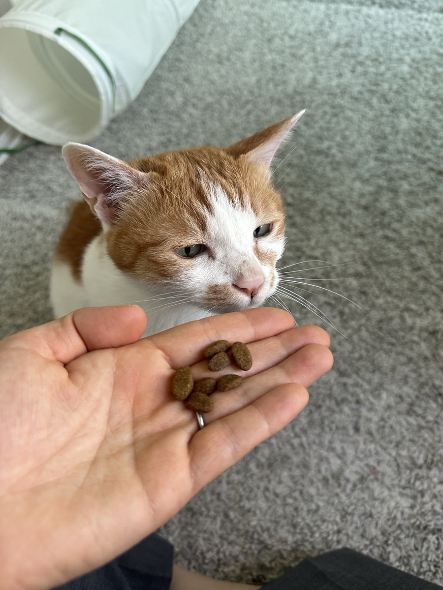 jokjok's tweet photo. 마중나오는 주둥이 🥰 #출근길족족이 https://t.co/x4unO52vsJ