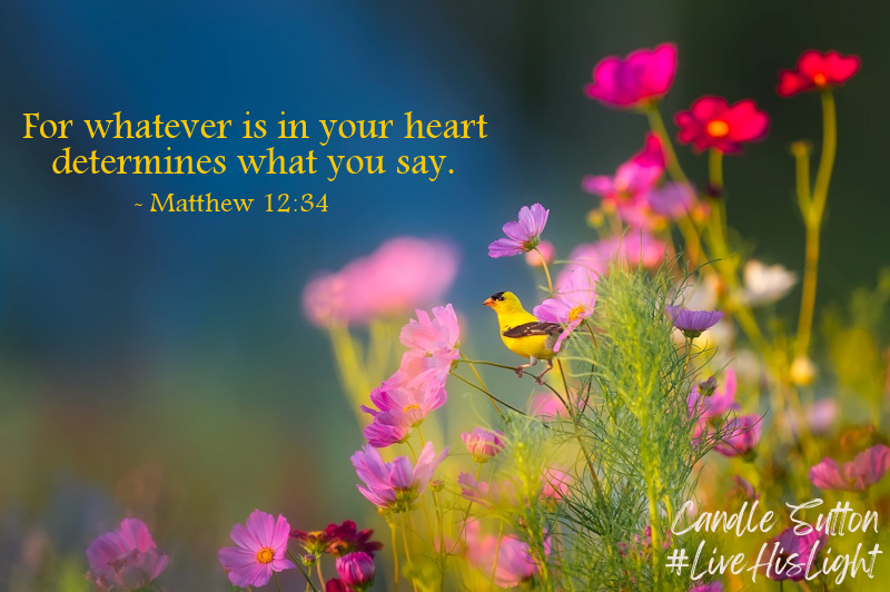 candlesutton's tweet photo. Another reason why it's so important to guard what we let into our heads and our hearts! Once it's in, it's going to come out!

#LiveHisLight #GuardYourHeart https://t.co/h1B3bUEOm5