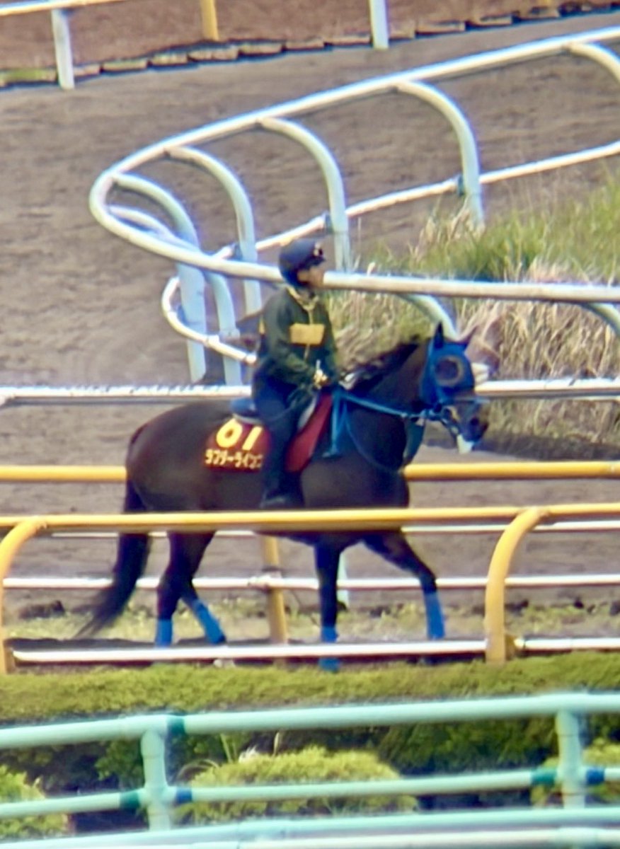 前田智基@競友（ケイユウ） tweet media