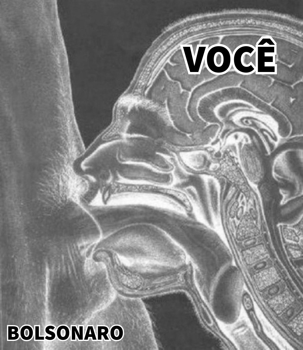 Vitor tweet media