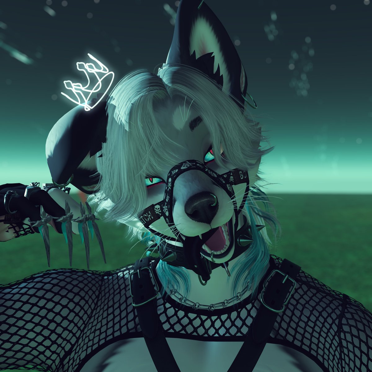 🦊SnowAsh🦊🔞 tweet media