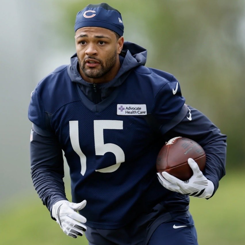 Depressed Bears Fan tweet media