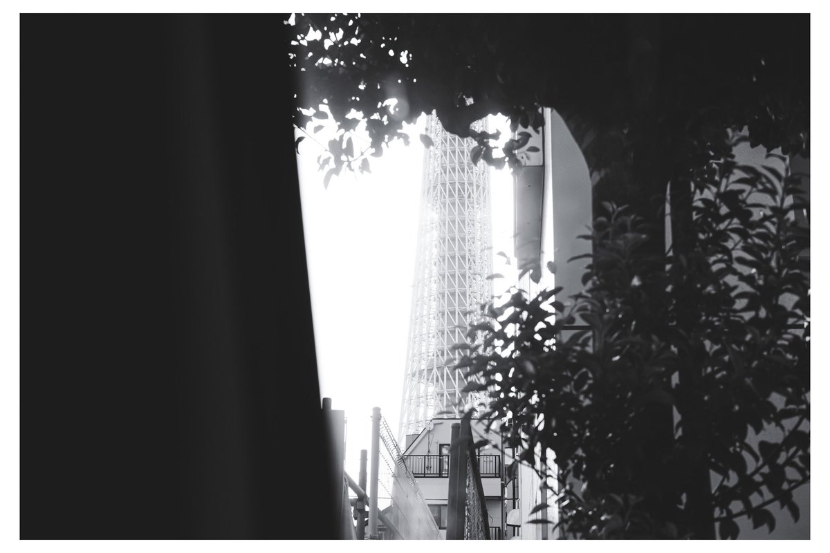fukunoshashin's tweet photo. #FUJIFILM
#Acros
#モノクロ https://t.co/SxbxH2Cm1l