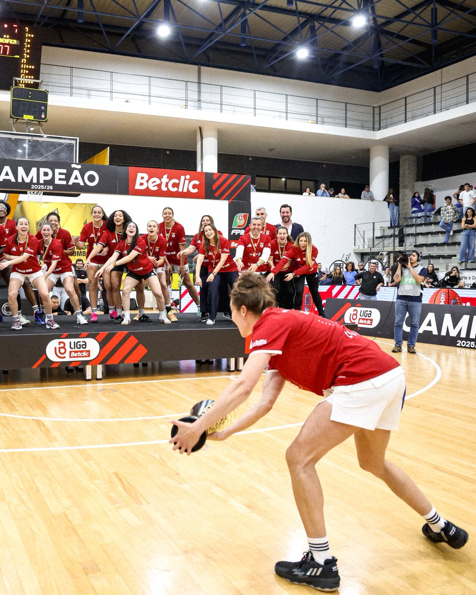 SLBenfica Modalidades tweet media