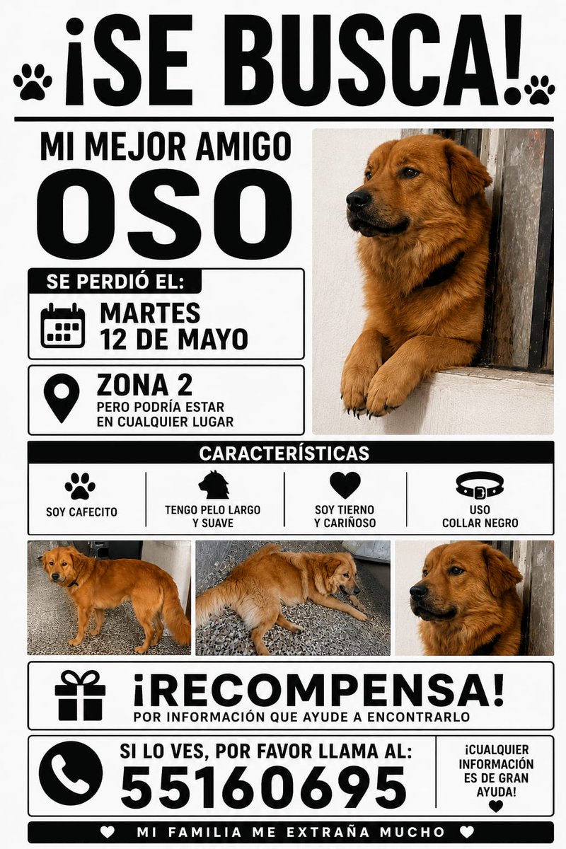 amigosdelosanimales tweet media