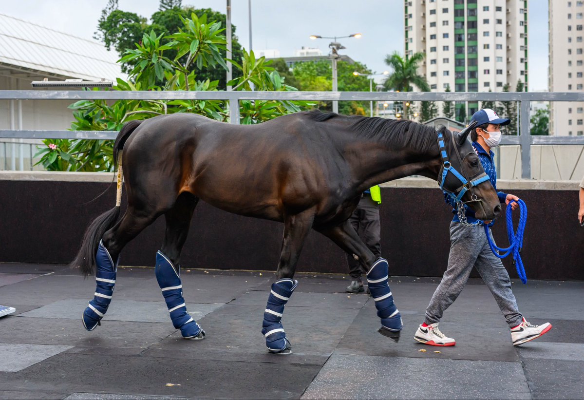 HKJC Racing tweet media
