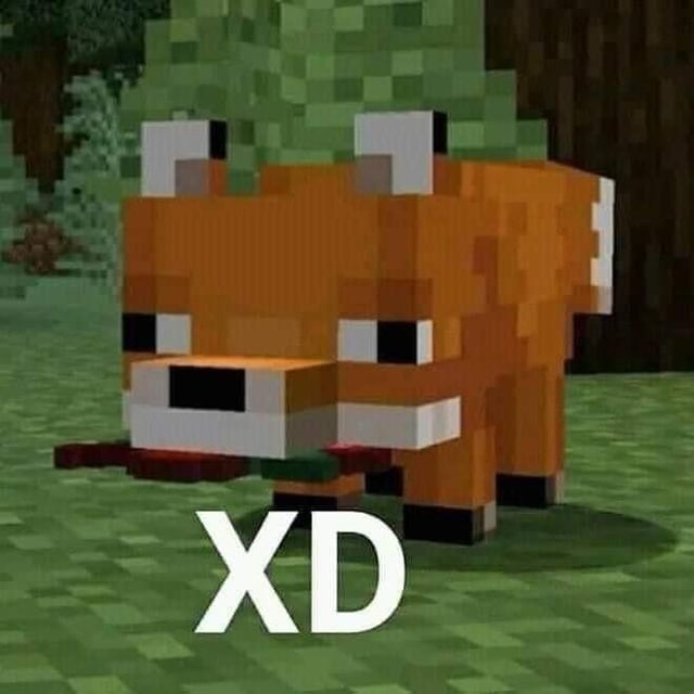 CrafterG357 tweet media