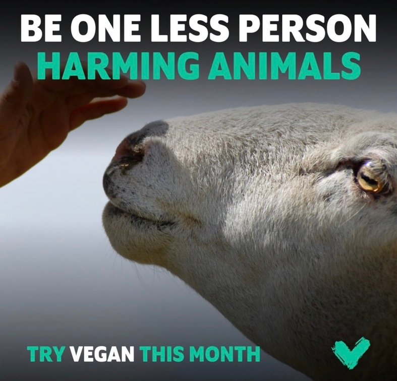 veganfuture's tweet photo. https://t.co/pEQACOnbsq
