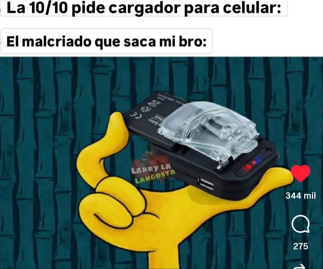 Santriste tweet media