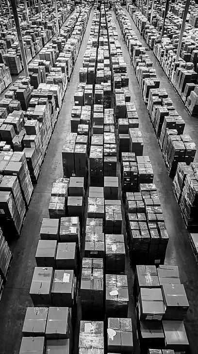 📦 tweet media