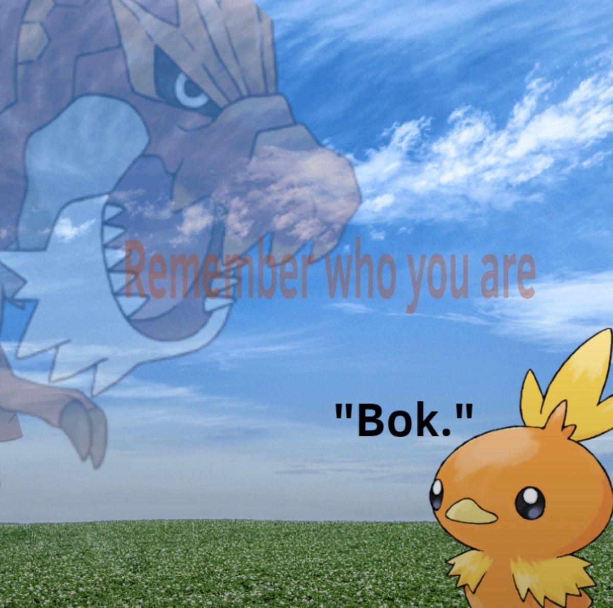 Pokémon Perfect Shots tweet media