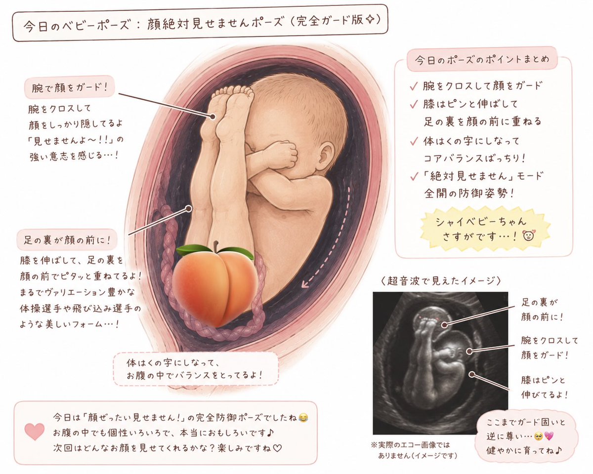 いおり☺︎🦖2y +🥚 tweet media