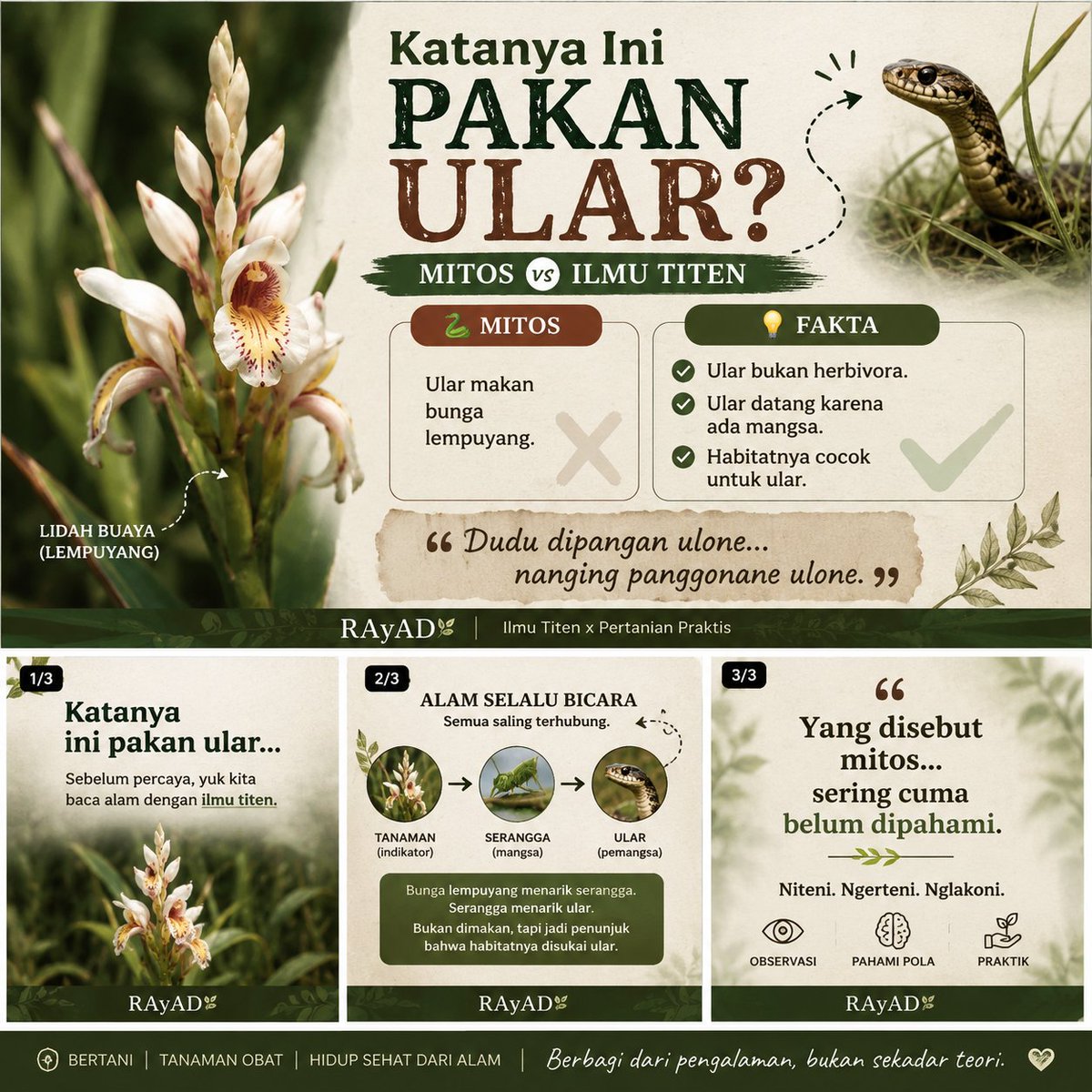 ☀️☯️ Ĕxčèĺ Ďèé🌏🌱 tweet media