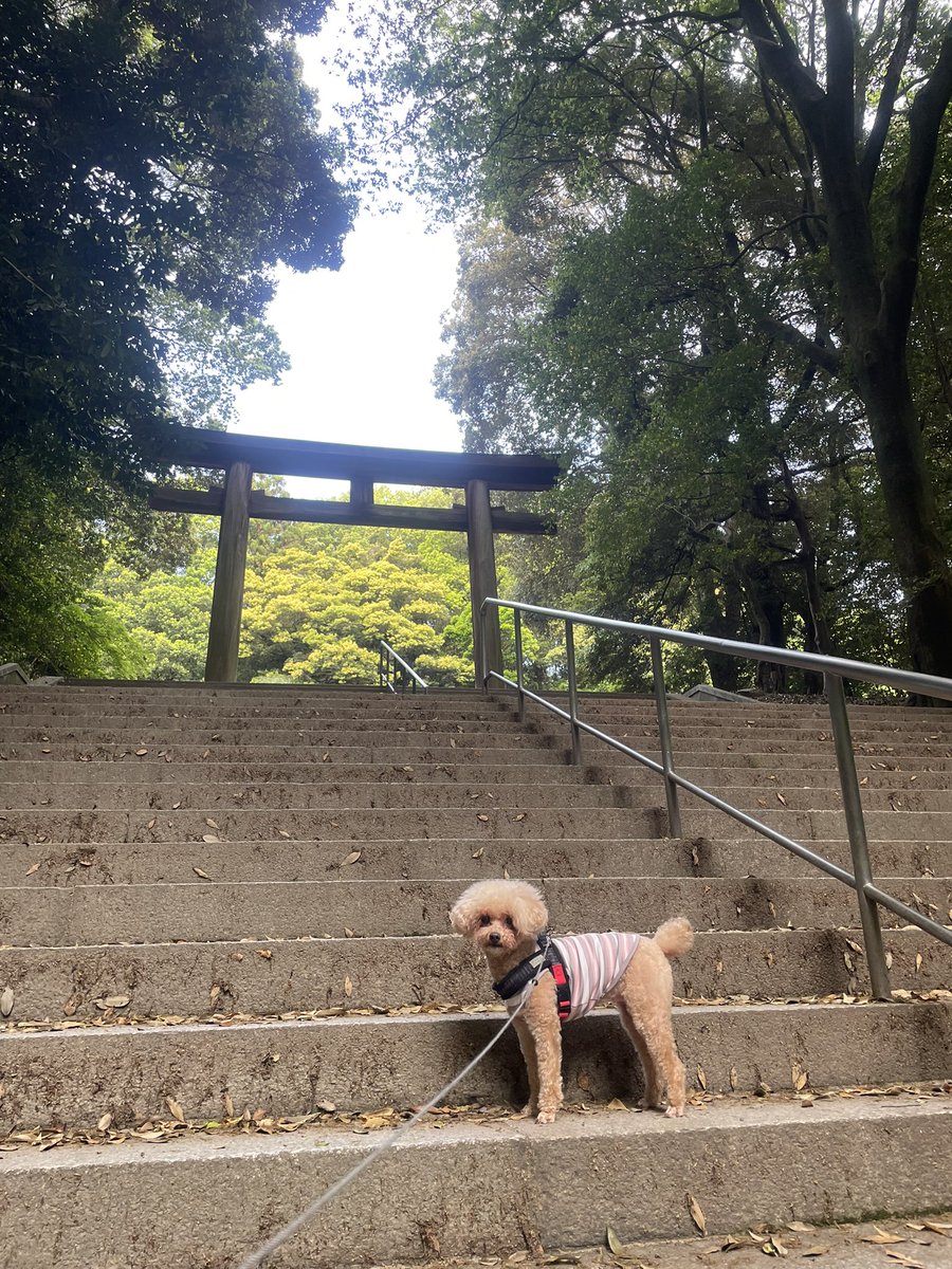 akoとmanon 🐶2026年もたのSiM tweet media