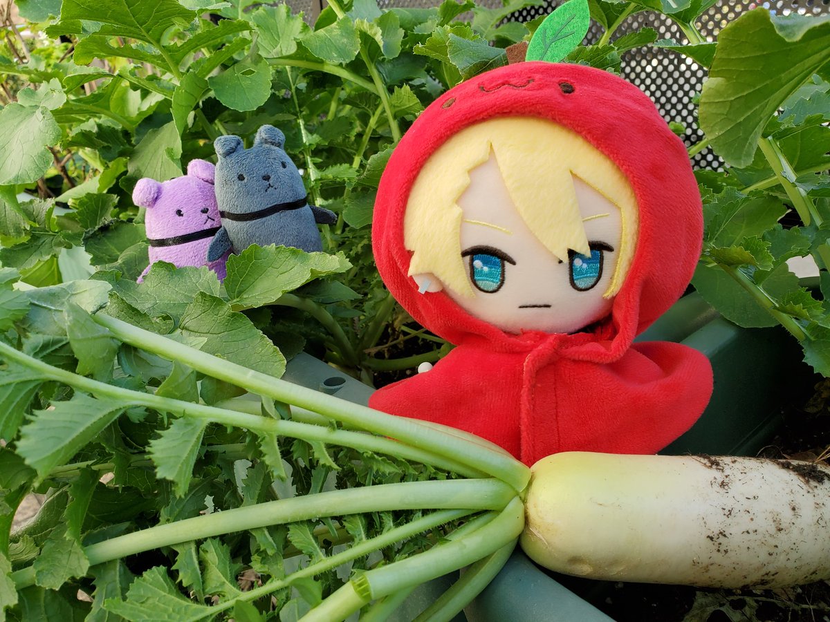 もこもこあわ～🌿✨ tweet media