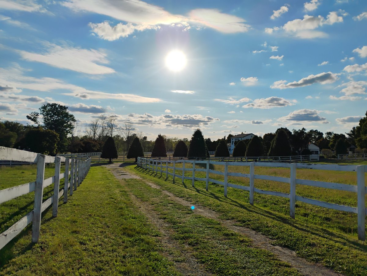 Equine Advocacy Alliance tweet media