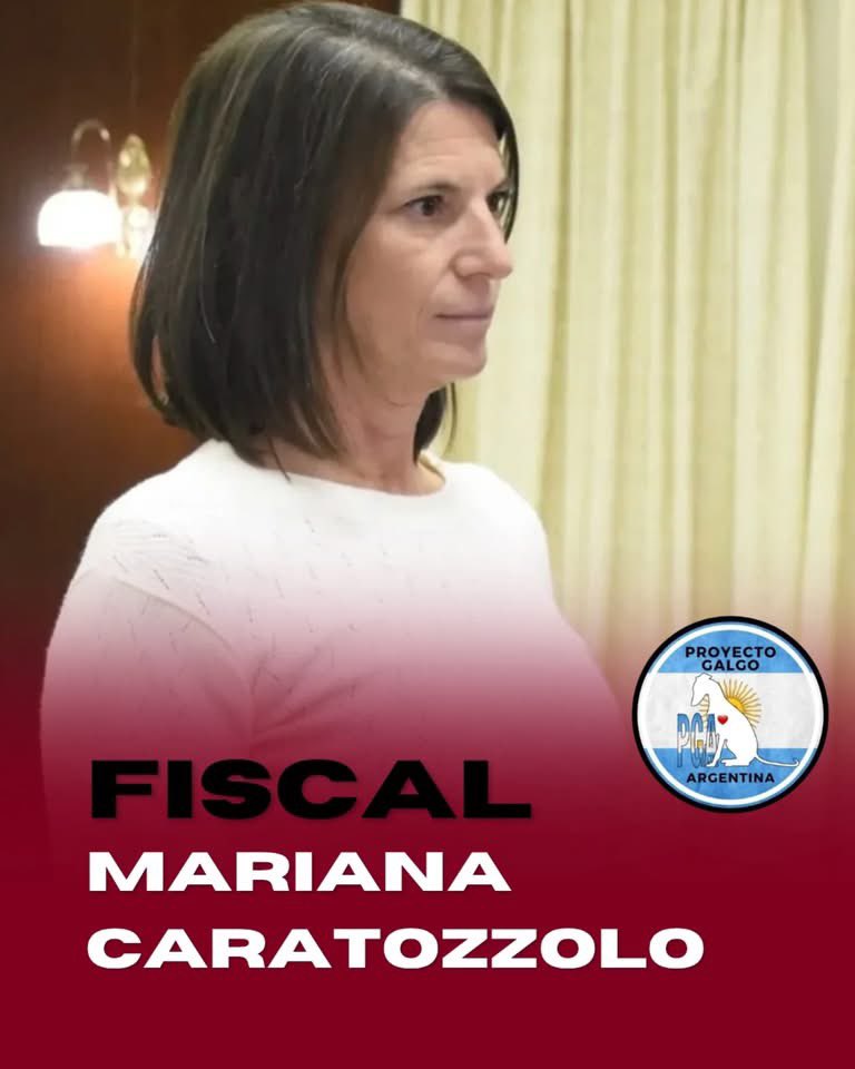 mavica tweet media